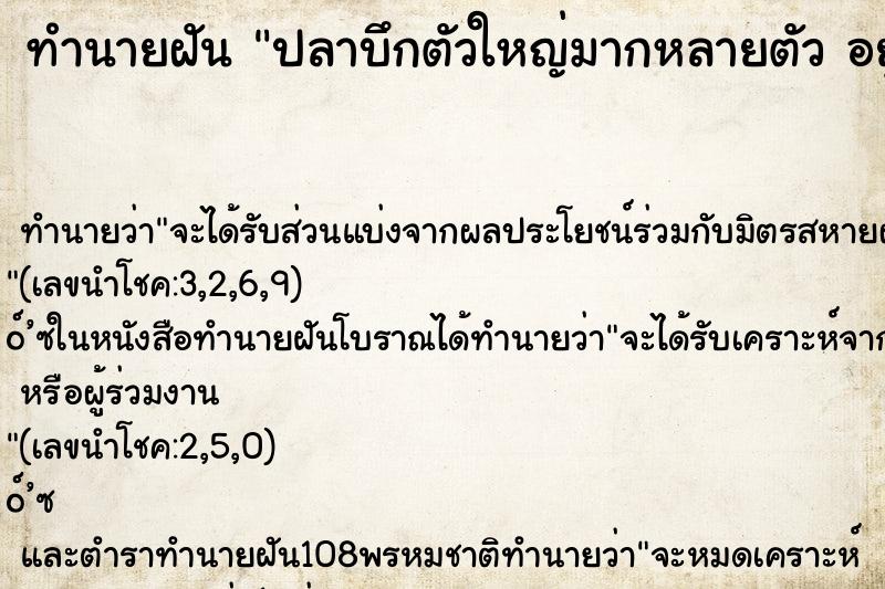 ทำนายฝัน ปลาบึกตัวใหญ่มากหลายตัว อยู่ในแม่น้ำสายเล็กๆ ทำนายฝัน ปลาบึกตัวใหญ่มากหลายตัว อยู่ในแม่น้ำสายเล็กๆ